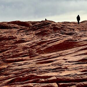 Meet your Posher, Helene